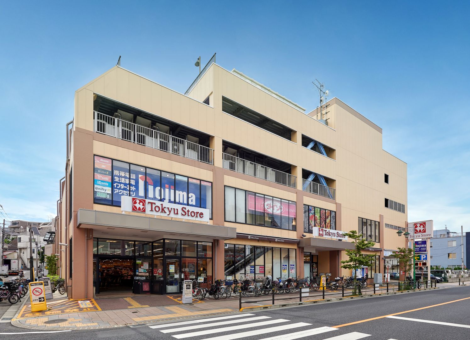 活動歴および当時の関連ビジュアル記録